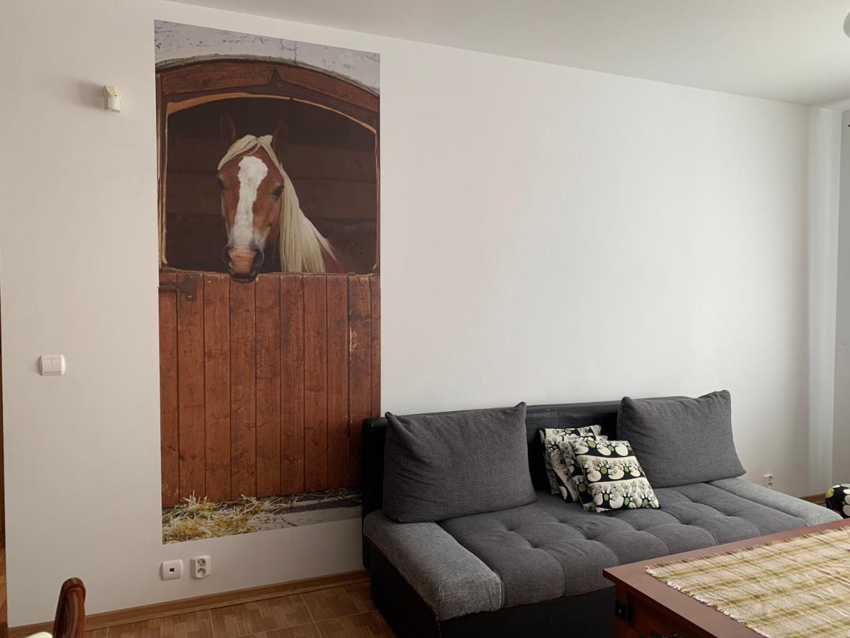 Zawsze Sloneczny Apartament Grzybowo Грзибово Экстерьер фото